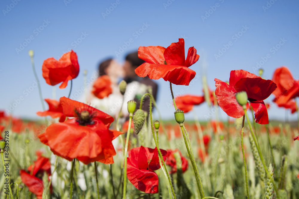 Fototapeta premium Pole maku i para zakochanych