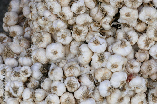pile of garlic for sale