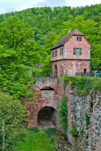 Arch Ruins of Heidelberg Castle on Green Hillside