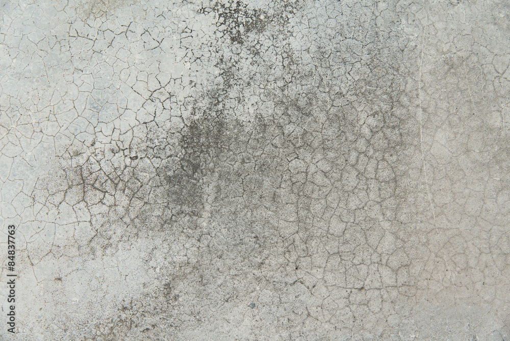 Fototapeta premium cement tecture and background