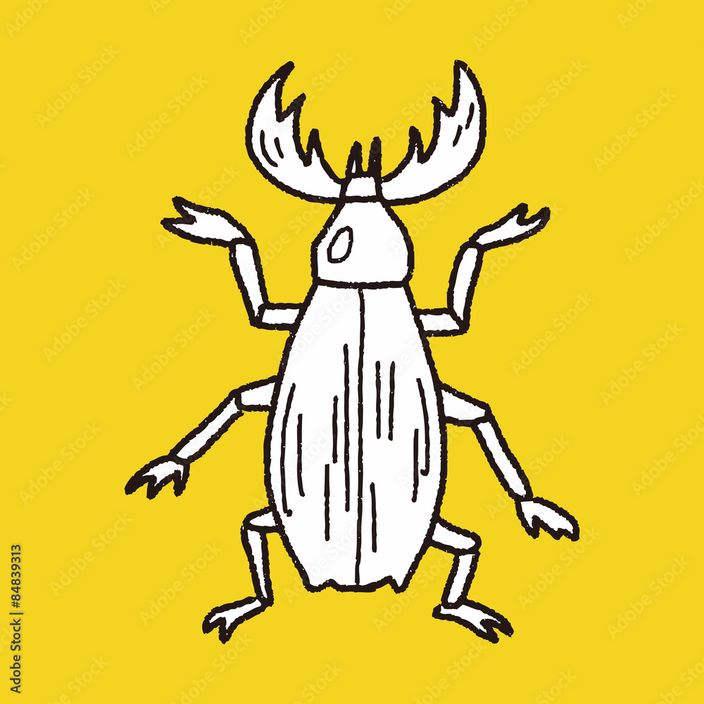 Fototapeta premium beetle doodle