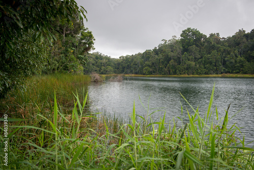 Lake Barrine  photo