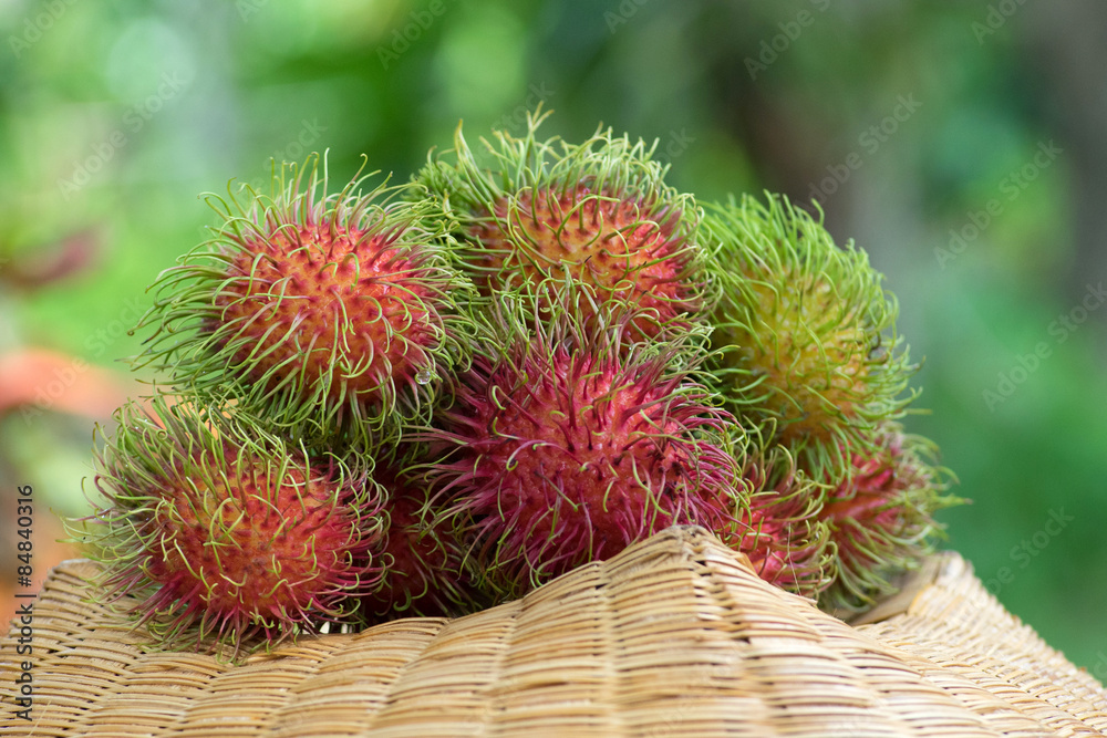Rambutan fron organic garden Rambutan fron organic garden