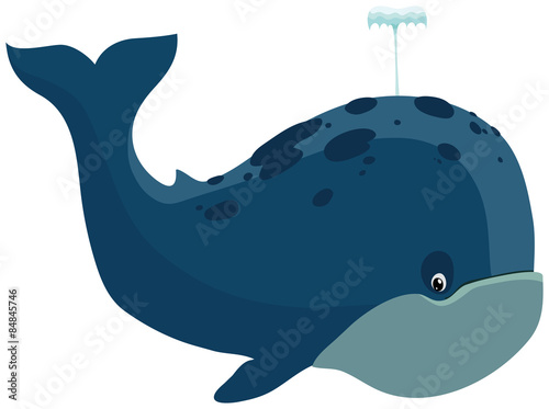 Whale
