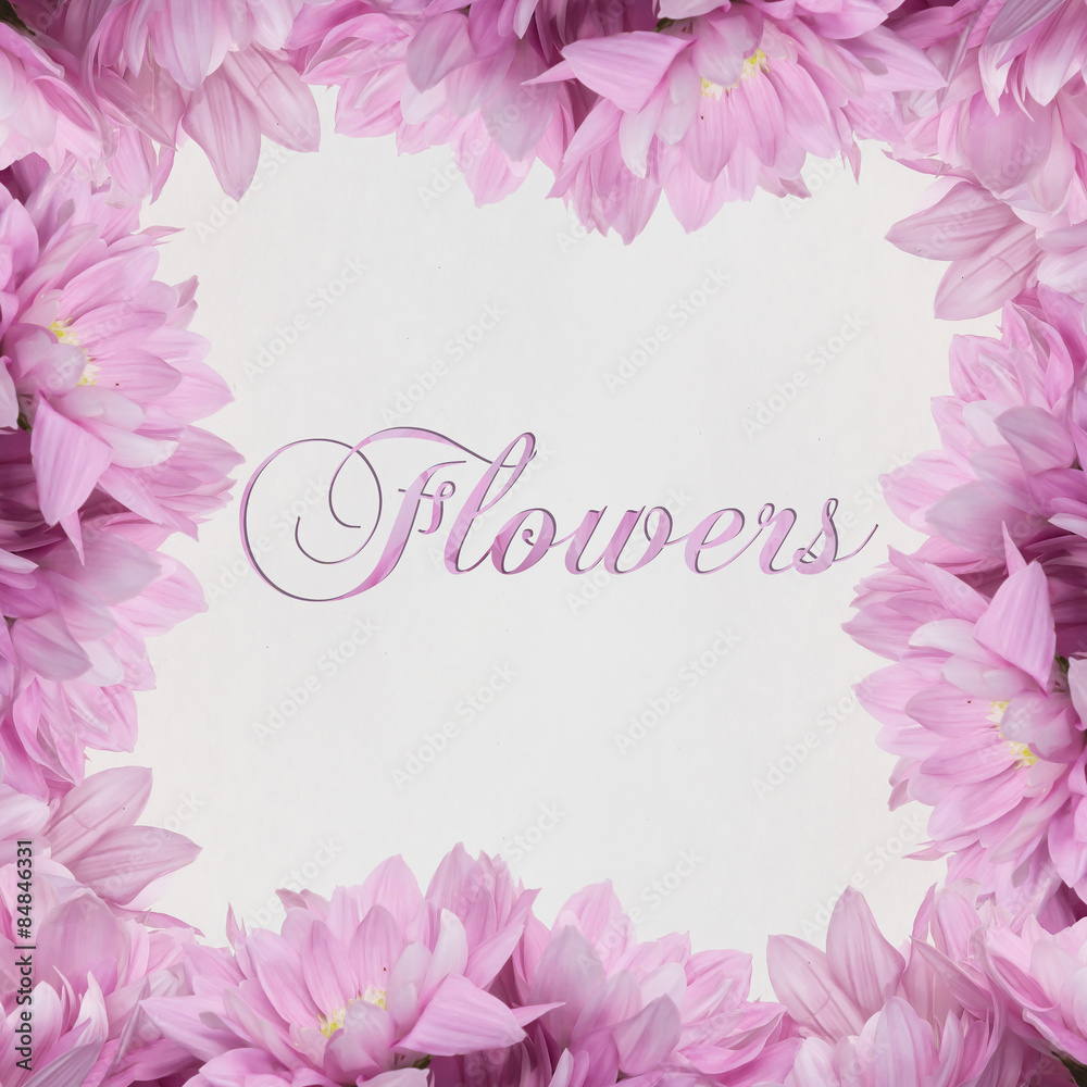 Flowers on white background - written