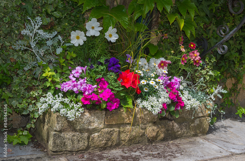 Colorful plants in stone trough, including begonia, petunia, fuc