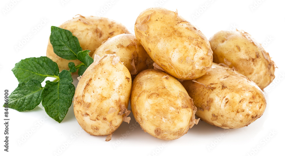 New potatoes with green leaves. Isolated on white background New potatoes with green leaves. Isolated on white background