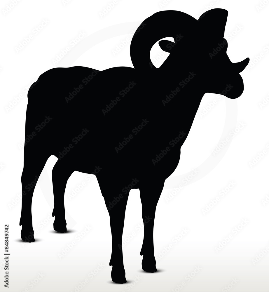 big horn sheep silhouette in standing pose big horn sheep silhouette in standing pose