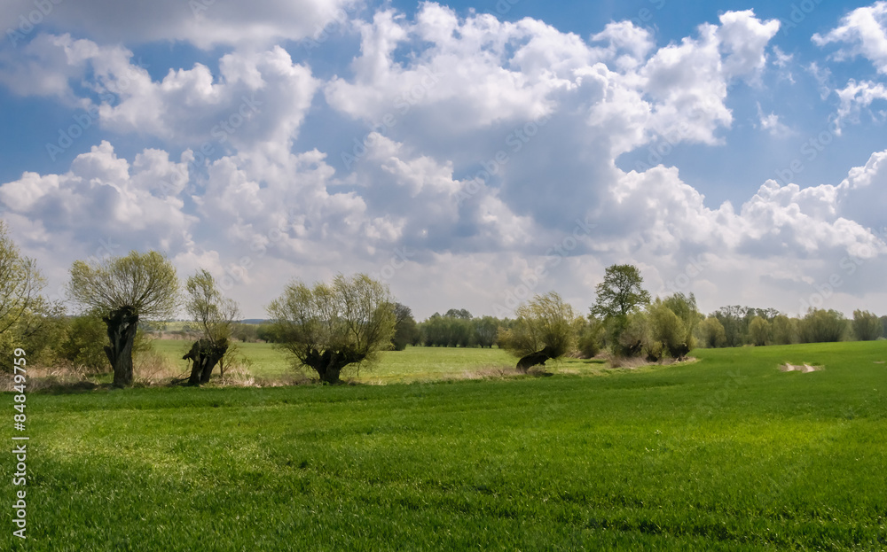 Wiesenlandschaft mit Bäumen in der Uckermark bei Zollchow Wiesenlandschaft mit Bäumen in der Uckermark bei Zollchow