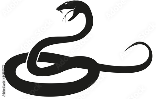Snake silhouette