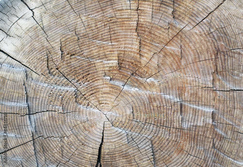 Naklejka premium Wooden background