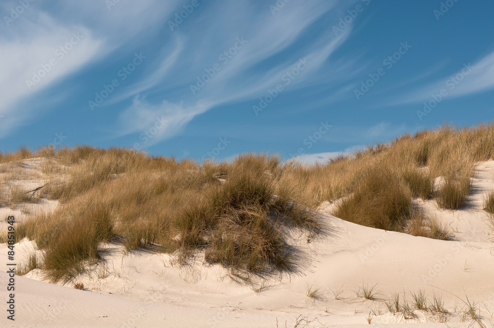 Sand dunes with grass and blue sky.
