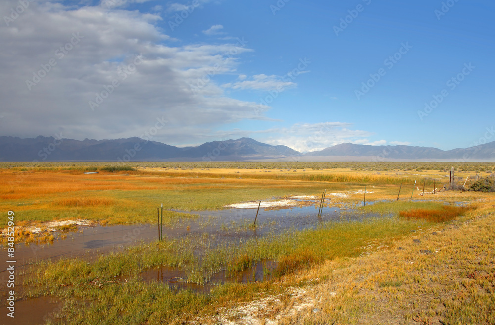 Prairie landscape with pond in Colorado state