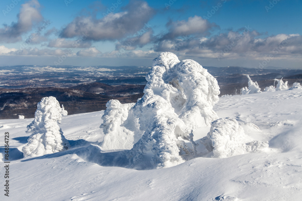 Fototapeta premium Winter landscape.