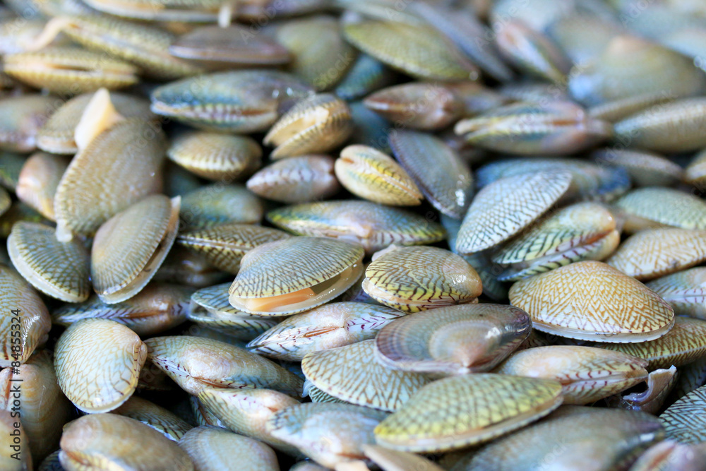 Obraz premium Fresh shellfish at the market