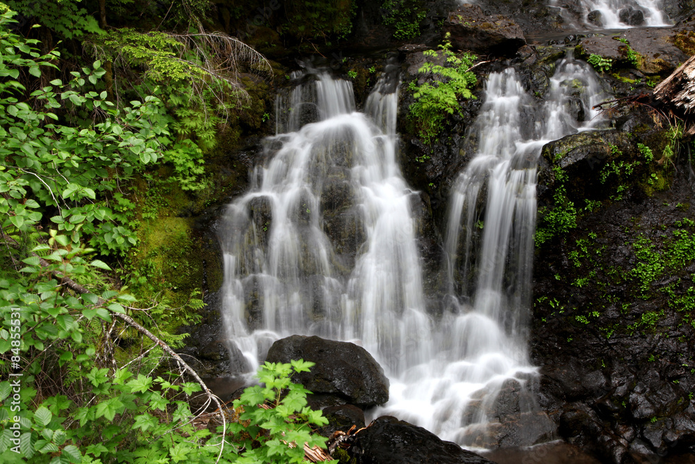 Mount Rainier water falls