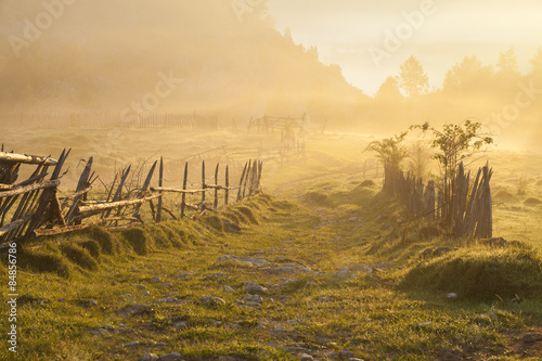 Countryside road in the sunrise fog and mist