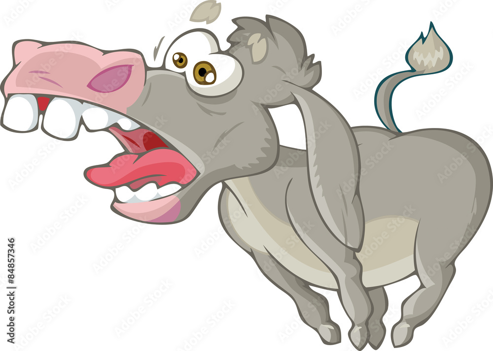 Fototapeta premium donkey who shouts