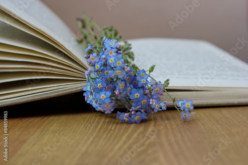 blue flowers lying on the open book