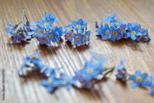 forget me nots lying on the wooden table