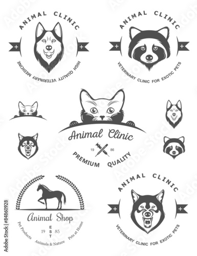 Set of Logos and Badges for Vet Clinic
