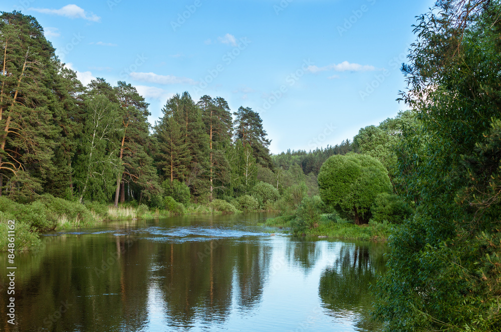 летний пейзаж с рекой и сосновым бором, Россия, Урал 