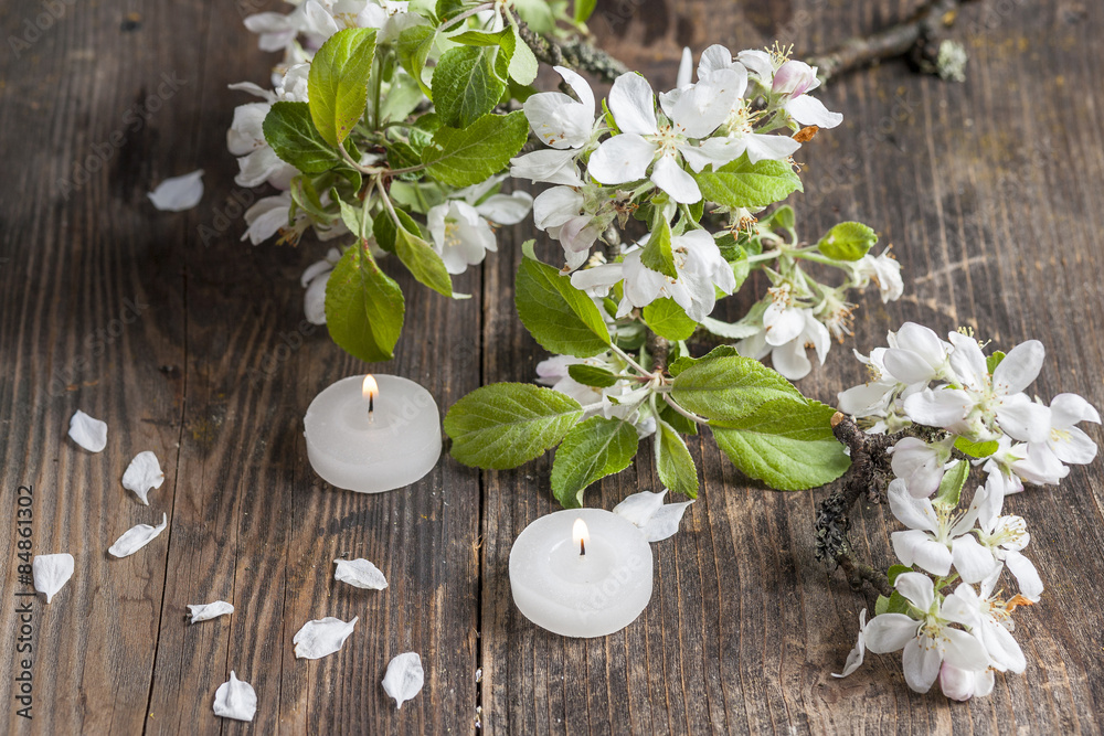 Naklejka premium apple blossom