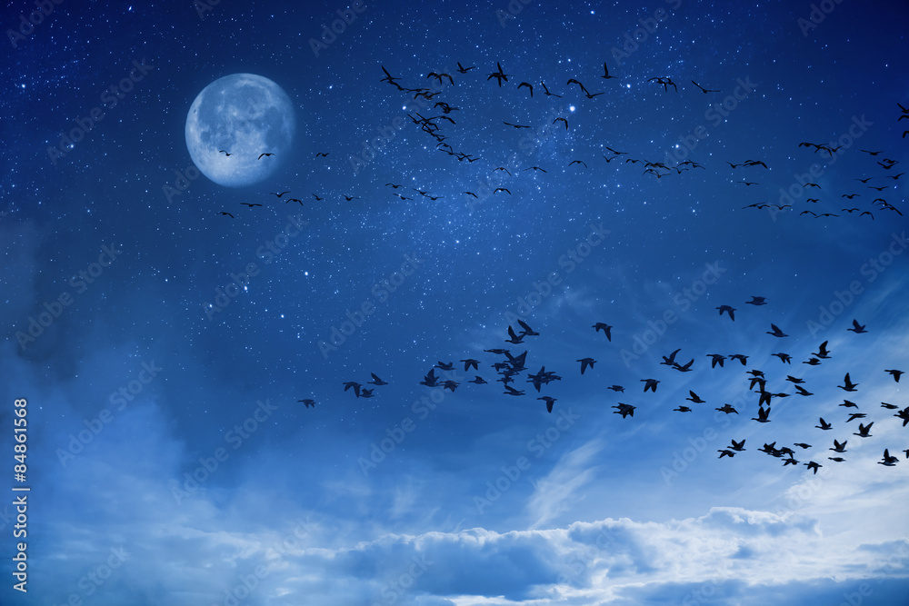 Night background concept migratory birds Night background concept migratory birds