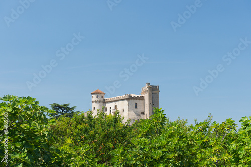 Castle in France