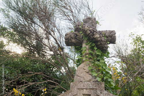 Old graveyard photo