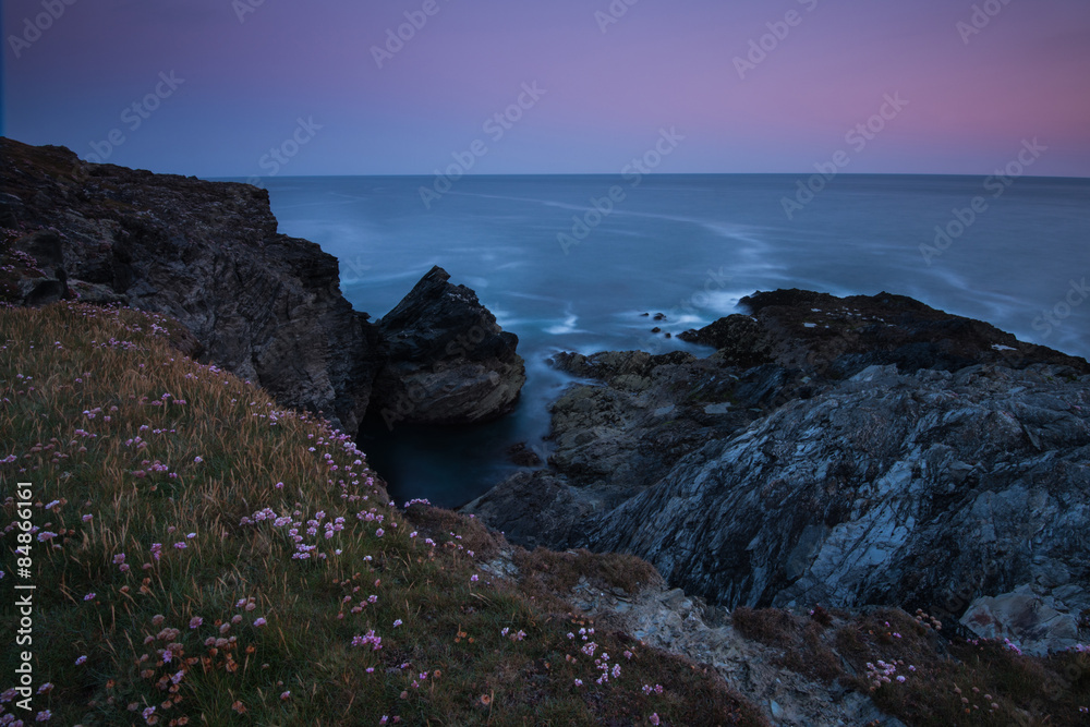 Wild flowers on rocky cliffs in Cornwal, motion blur of waves