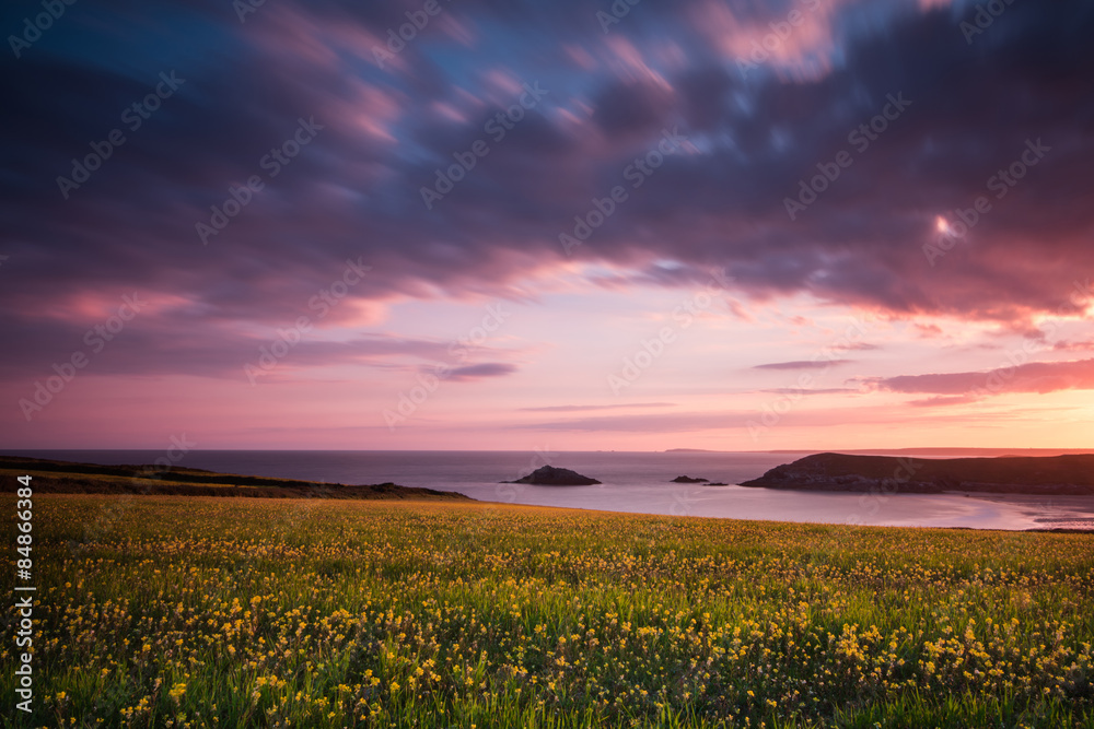 Idyllic wild flowers meadow on Cornish cliff at dramatic sunrise