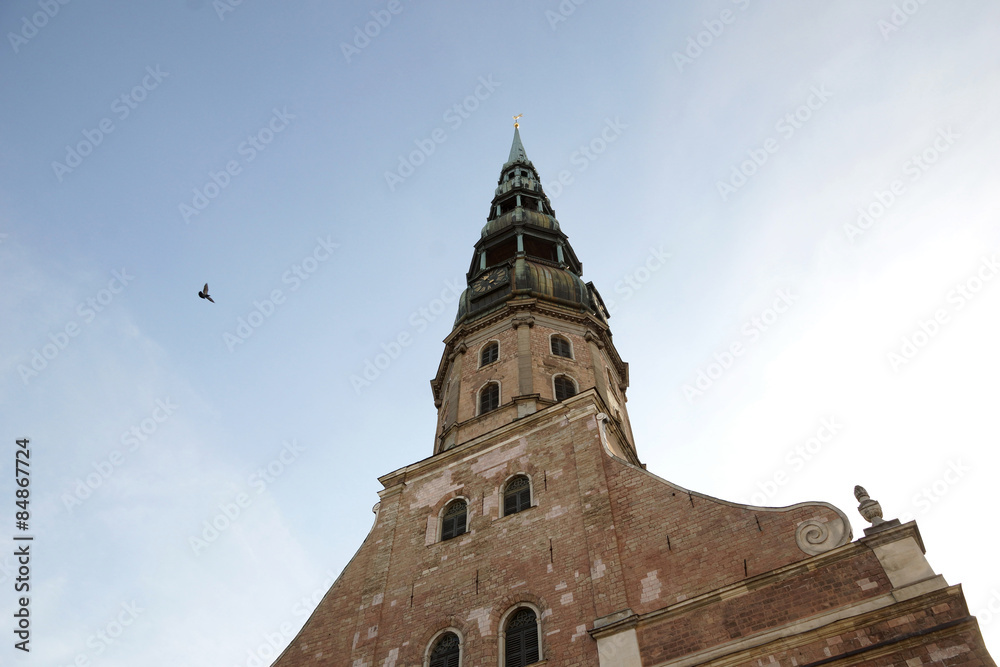 Riga, Latvia, dove flying towards tower of St. Peter