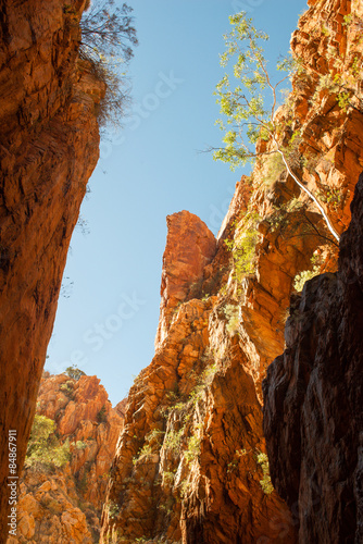 Parc national des gorges de la Finke photo