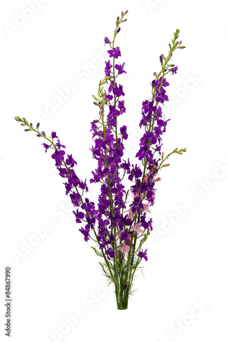 bouquet of wild flowers isolated