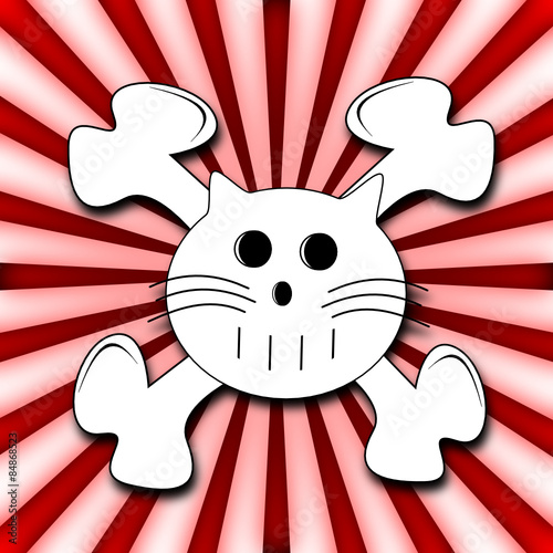 Pirat Cat