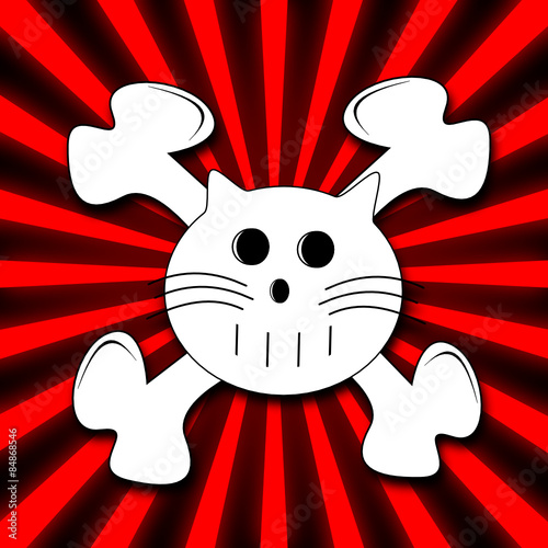 Pirat Cat