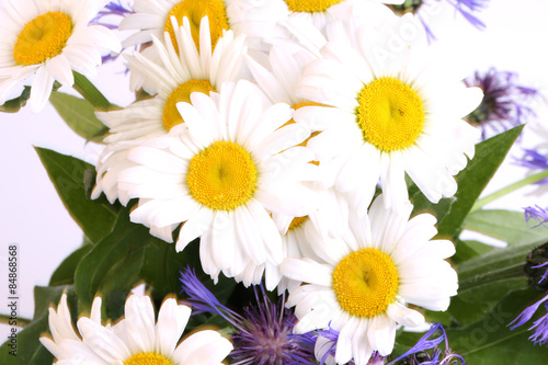 bouquet of daisies on a white background wildflowers selective soft focus
