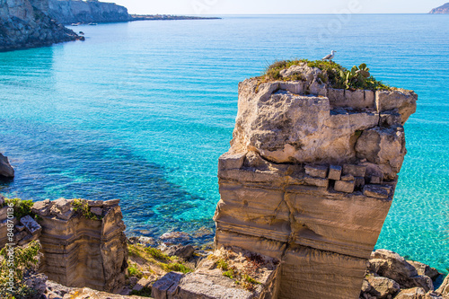 Seagull resting on a rock on Favignana island in Sicily, Italy photo