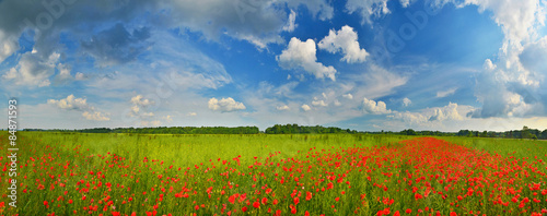 Summer heaven over countryside with poppies