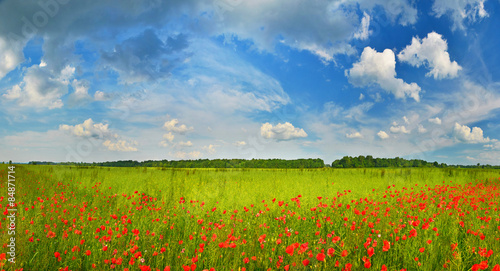Summer sky over green countryside with poppies