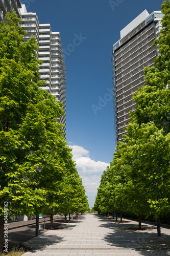 新緑の高層マンション © moonrise