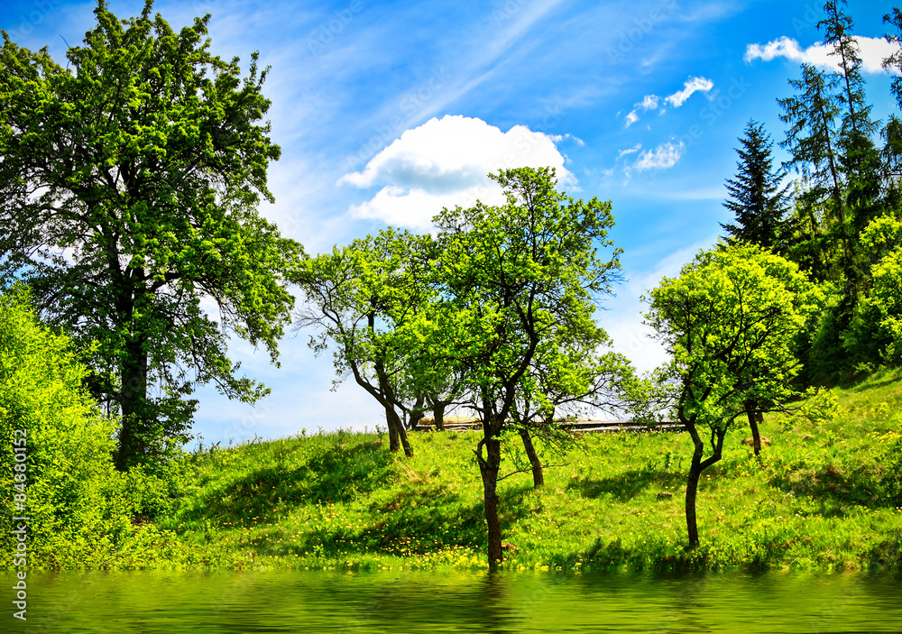 Green nature landscape