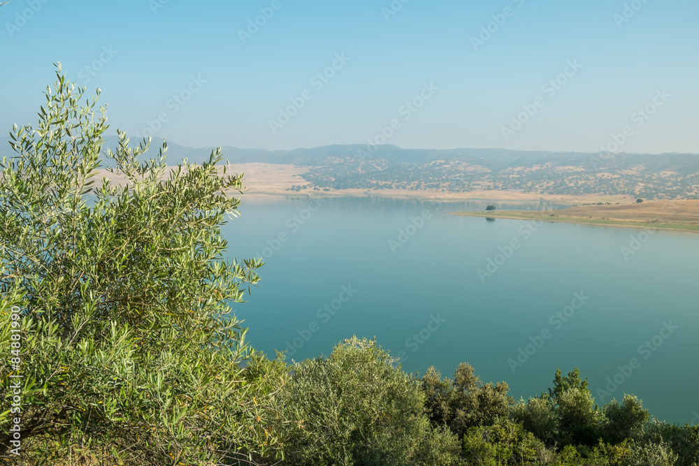 Naklejka premium Andalusian landscape
