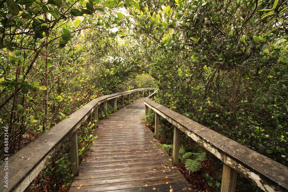 Besuchersteg im Everglades Nationalpark (Shark Valley)