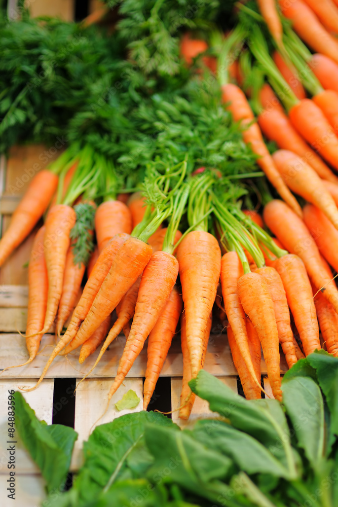 Carrots and salad on farmer agricultural market Carrots and salad on farmer agricultural market