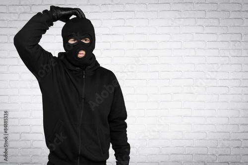 Burglar, Thief, Computer Hacker.
