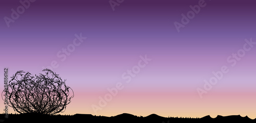 Tumbleweed Sunset