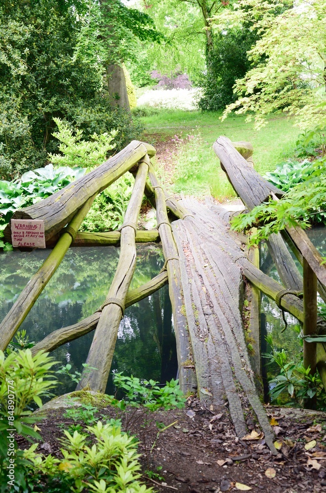 Narrow wooden bridge in forest