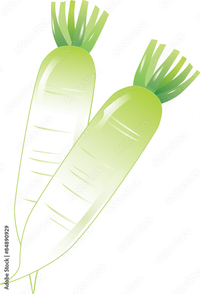 大根イラスト Stock ベクター Adobe Stock 大根イラスト Stock ベクター Adobe Stock